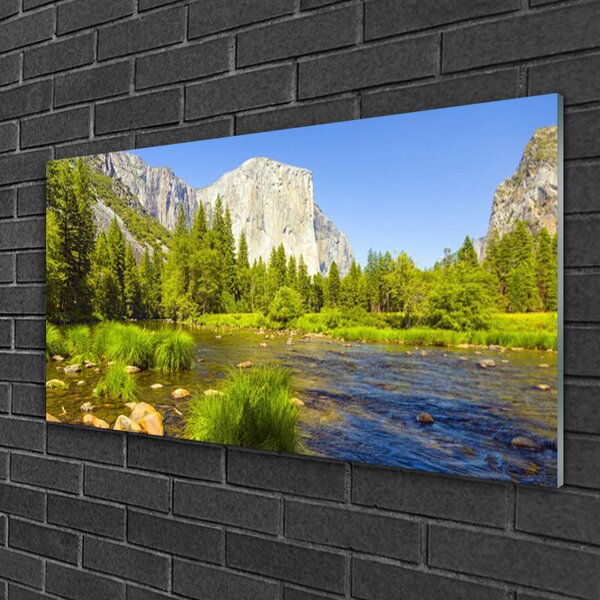 Quadro su vetro Lago Montagna Foresta Natura 100x50 cm 2 appendini