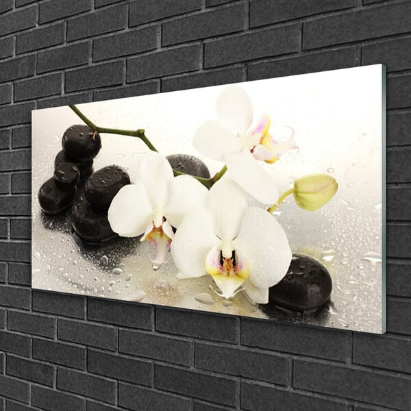 Quadro in vetro Bellissimo fiore di orchidea 100x50 cm 2 appendini