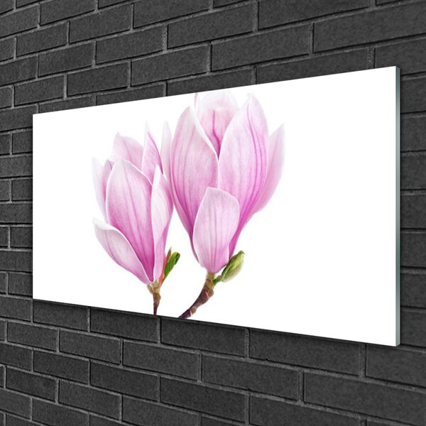 Quadro vetro Fiore Pianta naturale 100x50 cm 2 appendini