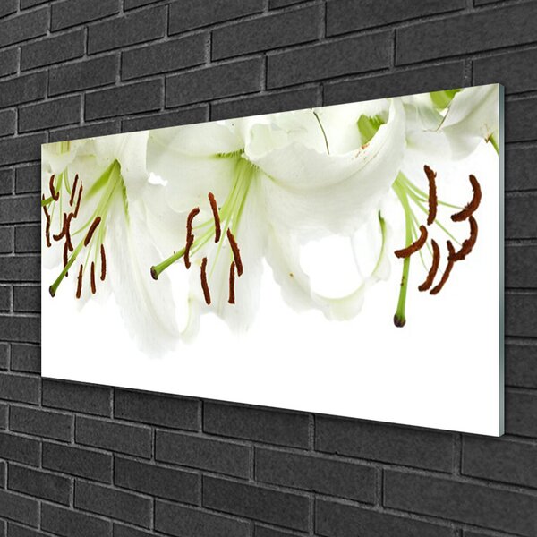 Quadro su vetro Fiori Pianta naturale 100x50 cm 2 appendini
