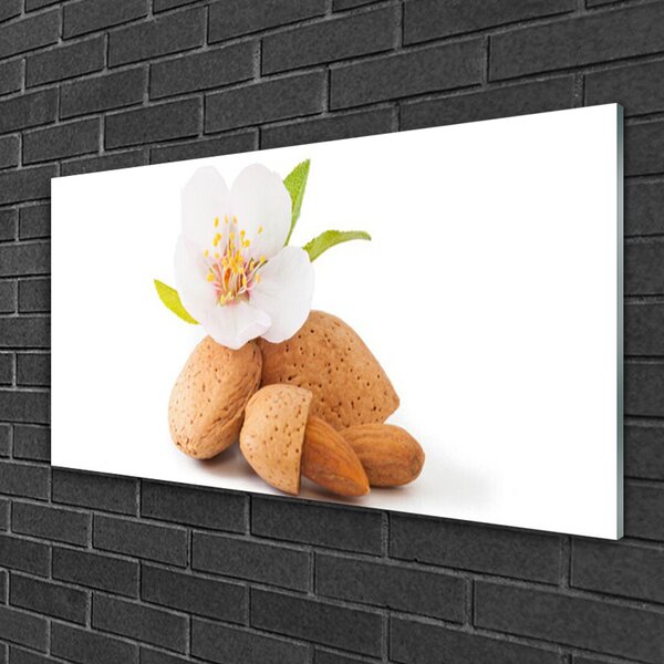 Quadro vetro Fiore di pistacchio Natura 100x50 cm 2 appendini