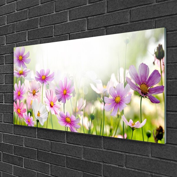 Quadro su vetro Fiori Pianta Natura 100x50 cm 2 appendini