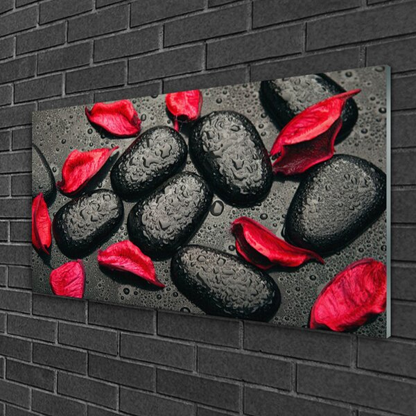 Quadro su vetro Petali Pietre Arte 100x50 cm 2 appendini