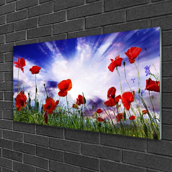 Quadro in vetro Papaveri Pianta Naturale 100x50 cm 2 appendini