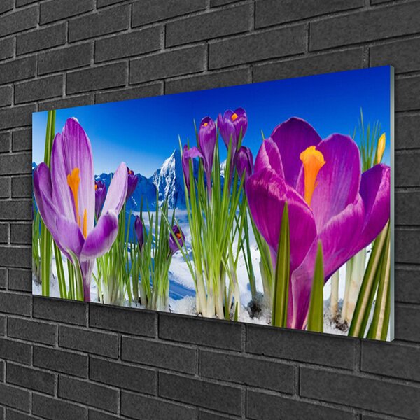 Quadro su vetro Fiori Pianta naturale 100x50 cm 2 appendini