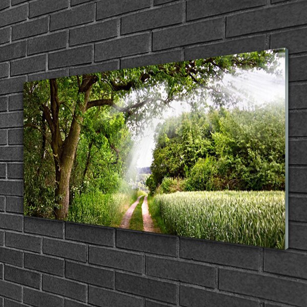 Quadro su vetro Sentiero Natura Alberi 100x50 cm 2 appendini