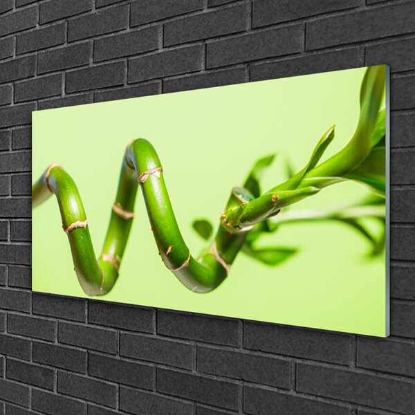 Quadro di vetro Pianta di bambù Natura 100x50 cm 2 appendini