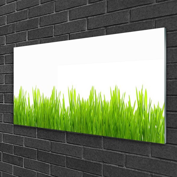 Quadro di vetro Erba Pianta Natura 100x50 cm 2 appendini
