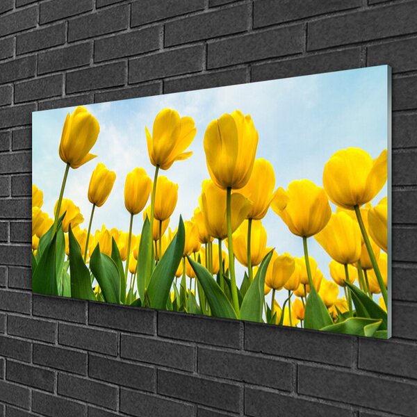 Quadro vetro Tulipani Fiori Pianta 100x50 cm 2 appendini