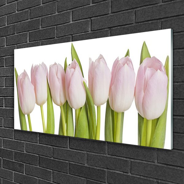 Quadro in vetro Tulipani Fiori Pianta 100x50 cm 2 appendini