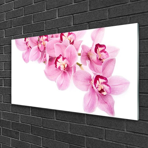 Quadro vetro Fiori Pianta Natura 100x50 cm 2 appendini