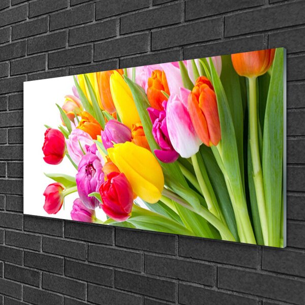 Quadro in vetro Tulipani Fiori Pianta 100x50 cm 2 appendini