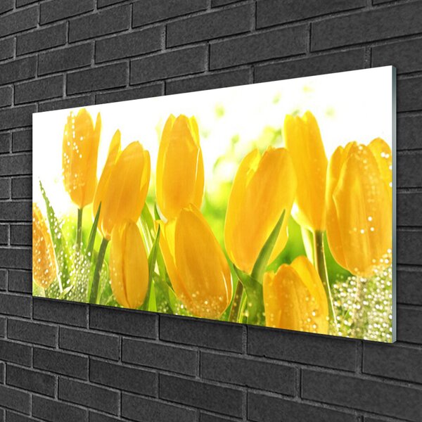 Quadro vetro Tulipani Fiori Pianta 100x50 cm 2 appendini