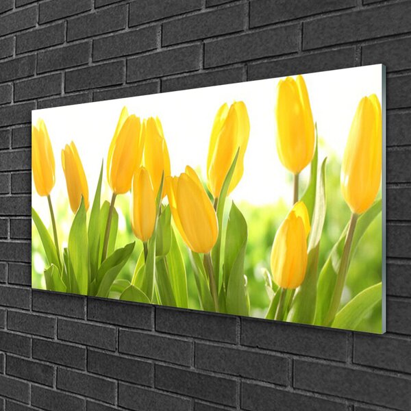 Quadro di vetro Tulipani Fiori Pianta 100x50 cm 2 appendini