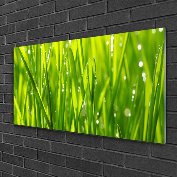 Quadro vetro Erba Pianta Natura 100x50 cm 2 appendini