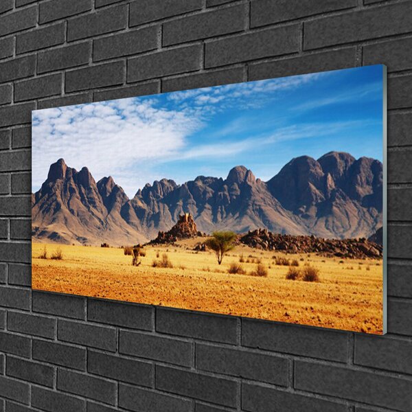 Quadro su vetro Paesaggio delle montagne del deserto 100x50 cm 2 appendini