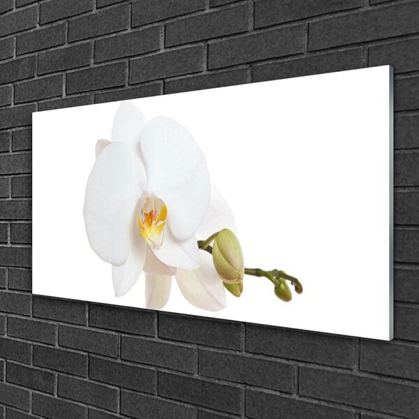 Quadro su vetro Fiore Pianta naturale 100x50 cm 2 appendini