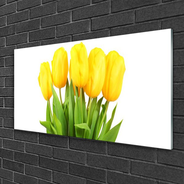 Quadro in vetro Tulipani Fiori Pianta 100x50 cm 2 appendini