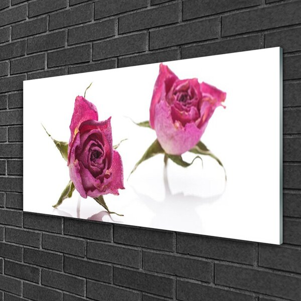 Quadro in vetro Rose Fiori Pianta 100x50 cm 2 appendini