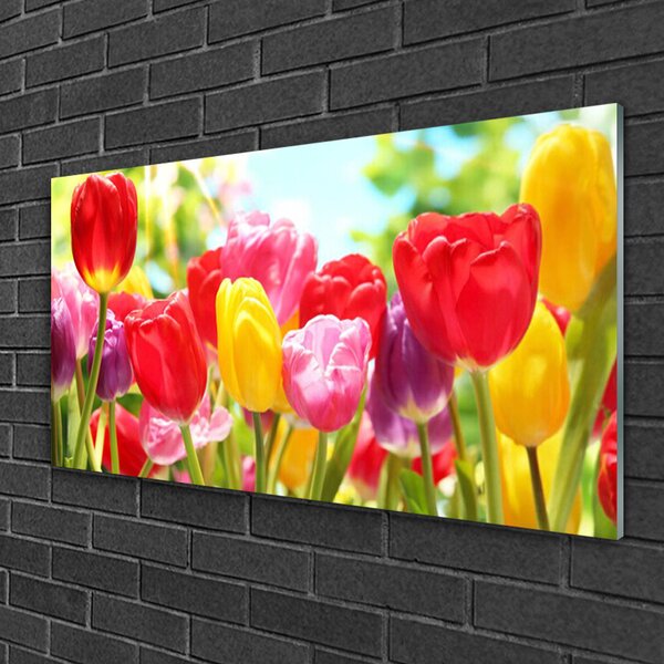 Quadro vetro Tulipani Fiori Pianta 100x50 cm 2 appendini
