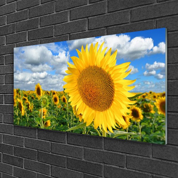 Quadro in vetro Pianta di girasole 100x50 cm 2 appendini
