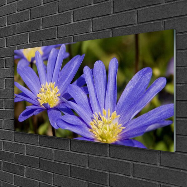 Quadro su vetro Fiori Pianta naturale 100x50 cm 2 appendini