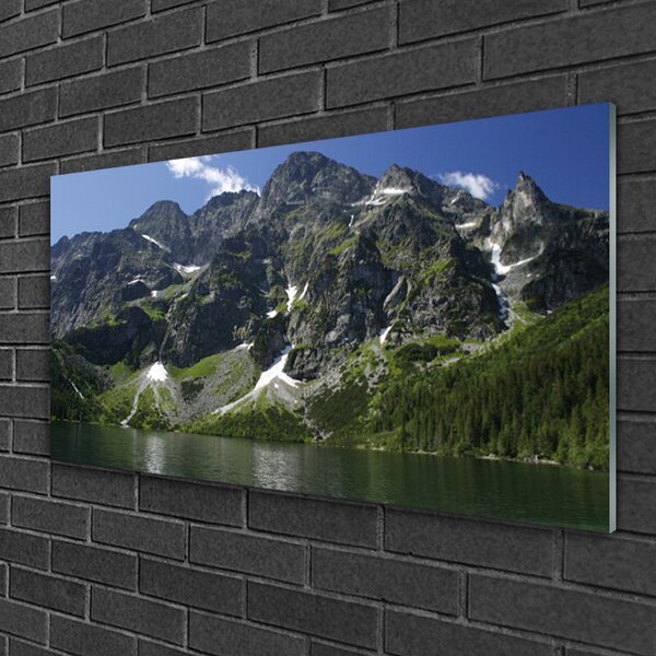 Quadro in vetro Montagne Lago Foresta Paesaggio 100x50 cm 2 appendini