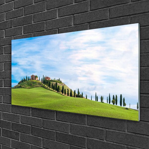 Quadro di vetro Prato Alberi Paesaggio 100x50 cm 2 appendini