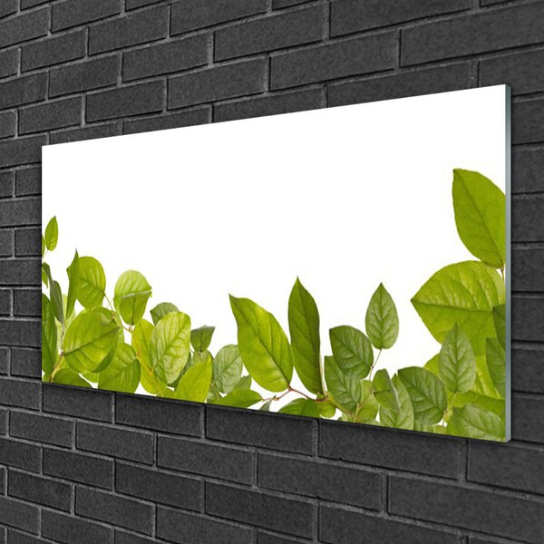 Quadro di vetro Foglia Natura Pianta 100x50 cm 2 appendini