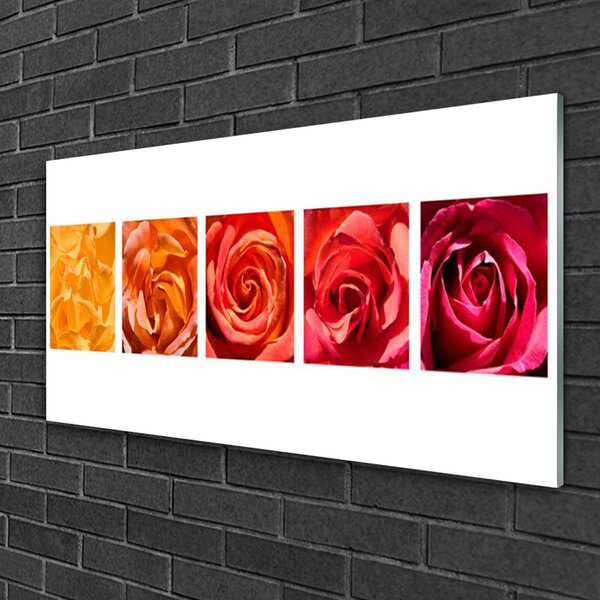 Quadro di vetro Rose Fiori Pianta 100x50 cm 2 appendini