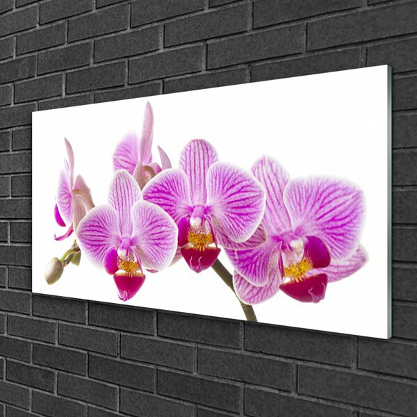Quadro in vetro Fiori Pianta naturale 100x50 cm 2 appendini