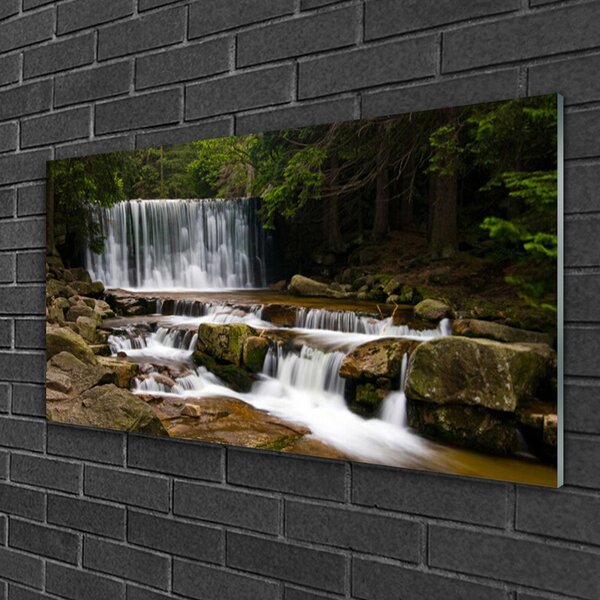 Quadro di vetro Cascata Foresta Natura 100x50 cm 2 appendini