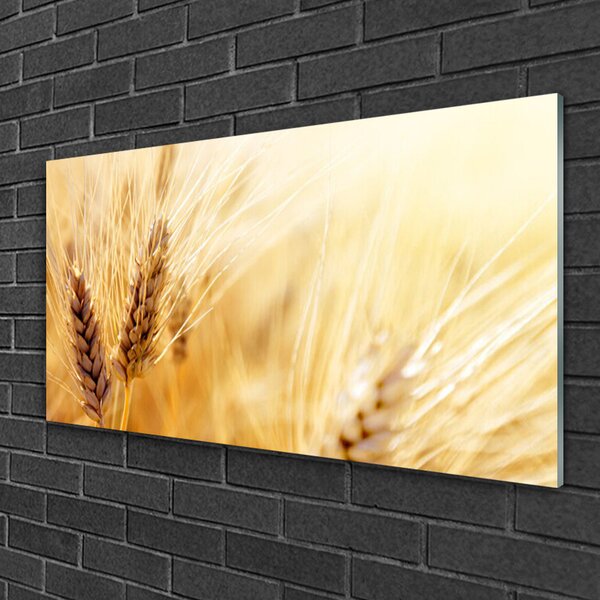 Quadro vetro Grano Natura Pianta 100x50 cm 2 appendini