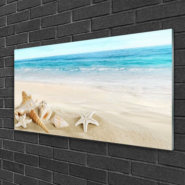Quadro su vetro Conchiglie di stelle marine 100x50 cm 2 appendini