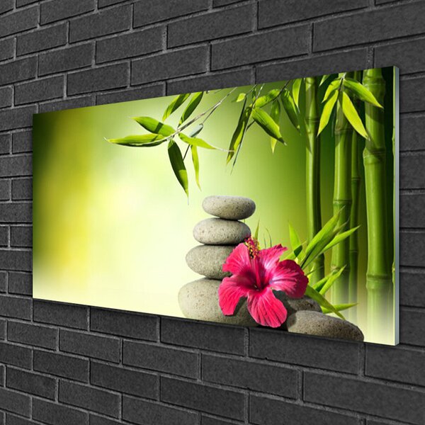 Quadro di vetro Pietre Zen con fiori di bambù 100x50 cm 2 appendini