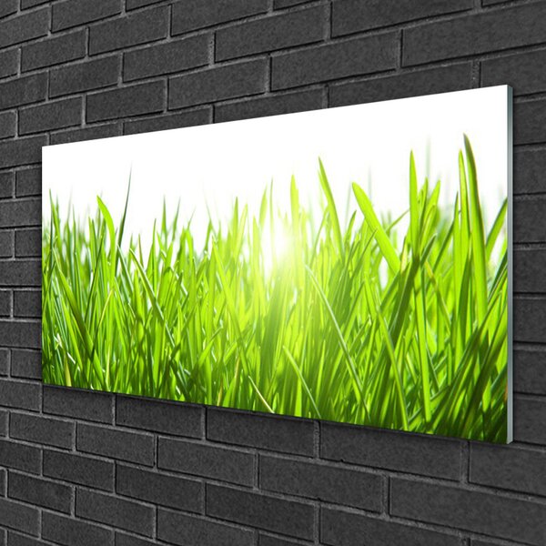 Quadro vetro Erba Pianta Natura 100x50 cm 2 appendini