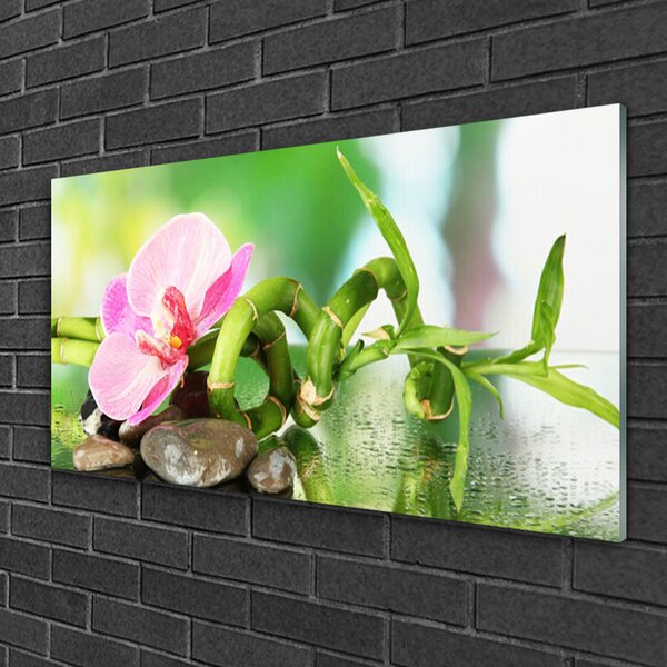 Quadro vetro Pianta di bambù Natura 100x50 cm 2 appendini