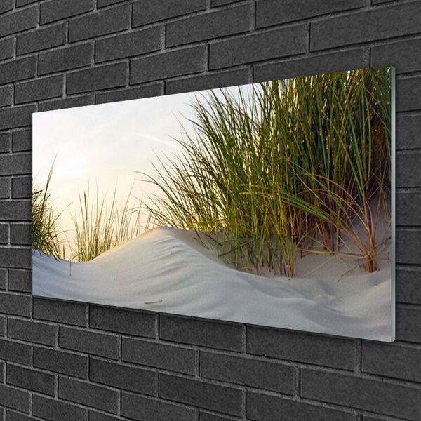 Quadro vetro Paesaggio in erba di sabbia 100x50 cm 2 appendini