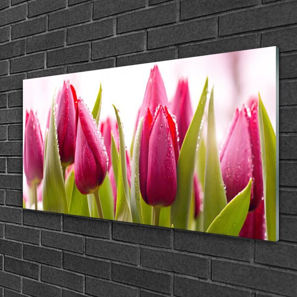 Quadro in vetro Tulipani Fiori Pianta 100x50 cm 2 appendini