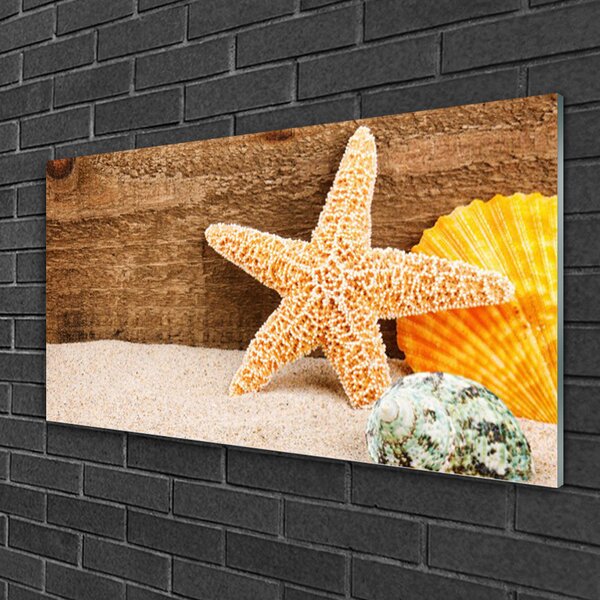 Quadro in vetro Arte delle stelle marine sulla sabbia 100x50 cm 2 appendini