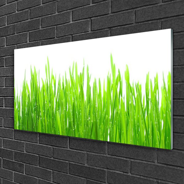 Quadro su vetro Erba Pianta Natura 100x50 cm 2 appendini