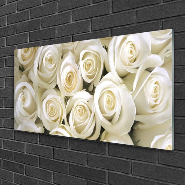 Quadro vetro Rose Fiori Pianta 100x50 cm 2 appendini