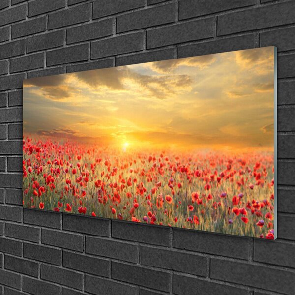 Quadro su vetro Fiori di papavero Sun Meadow 100x50 cm 2 appendini