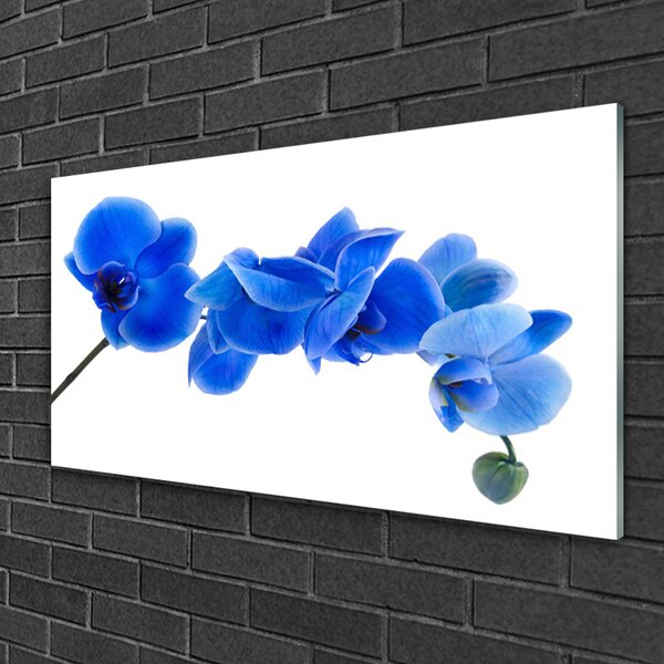 Quadro su vetro Fiore Pianta naturale 100x50 cm 2 appendini
