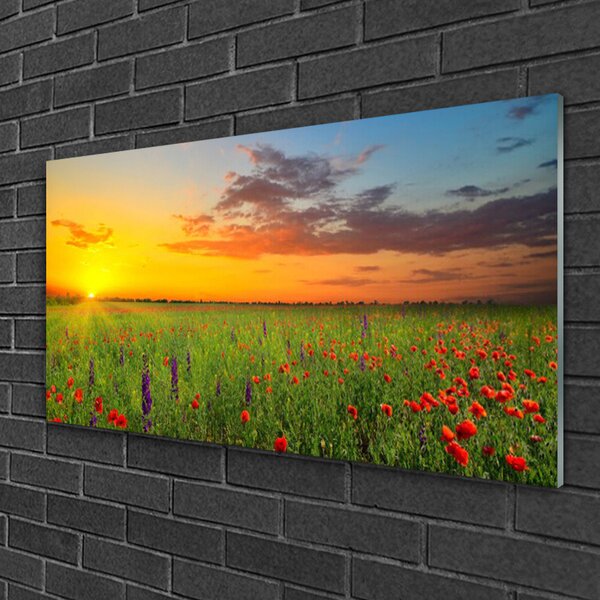 Quadro vetro Sole Prato Fiori Natura 100x50 cm 2 appendini