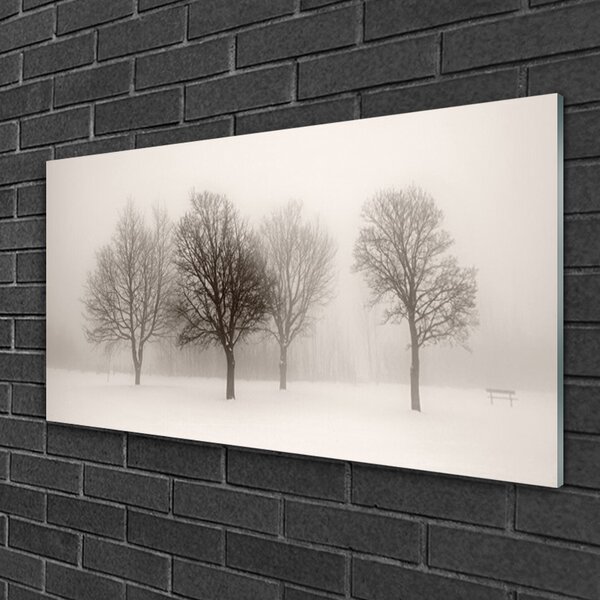 Quadro su vetro Neve Alberi Paesaggio 100x50 cm 2 appendini