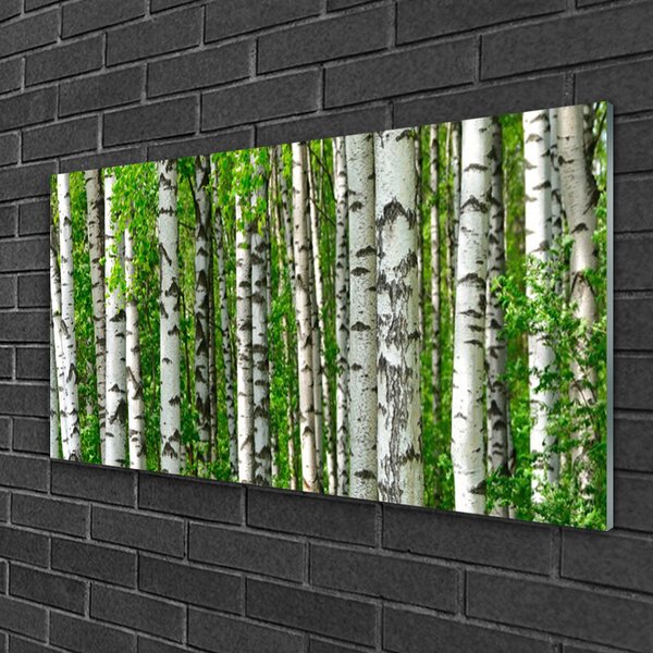 Quadro su vetro Foresta Pianta Natura Alberi 100x50 cm 2 appendini