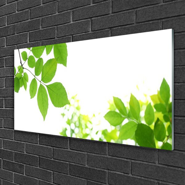 Quadro vetro Petali Pianta Natura 100x50 cm 2 appendini