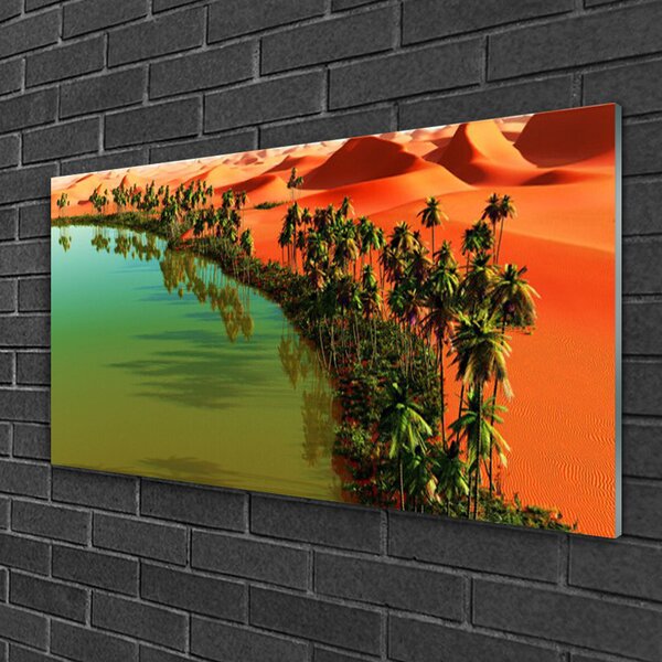 Quadro in vetro Lago di Palm Desert 100x50 cm 2 appendini