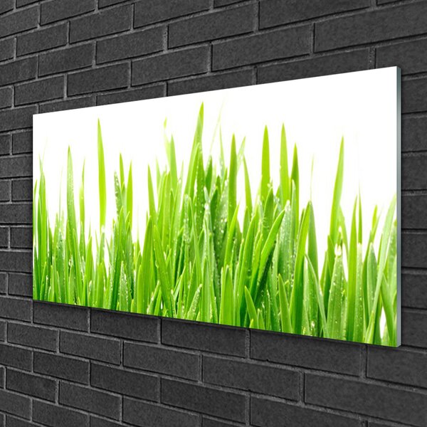 Quadro in vetro Erba Pianta Natura 100x50 cm 2 appendini